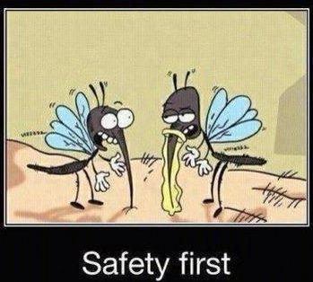597307c62896e_safetyfirst.jpg.b7401cee549753b1f050f40b7652612e.jpg