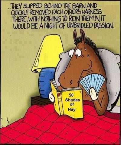 5977f98828a57_50shadesofhay.jpg.52af91c3e4d18f57036248da8fbb40ed.jpg