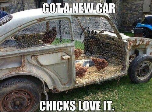 597a93998c2b7_chickI-got-a-new-car.jpg.c6a3c3e112245e1b9a1ad7abb8252362.jpg