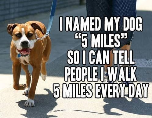 I-named-my-dog-5-miles.jpg.57d639211a73543737f0c1796ccda132.jpg