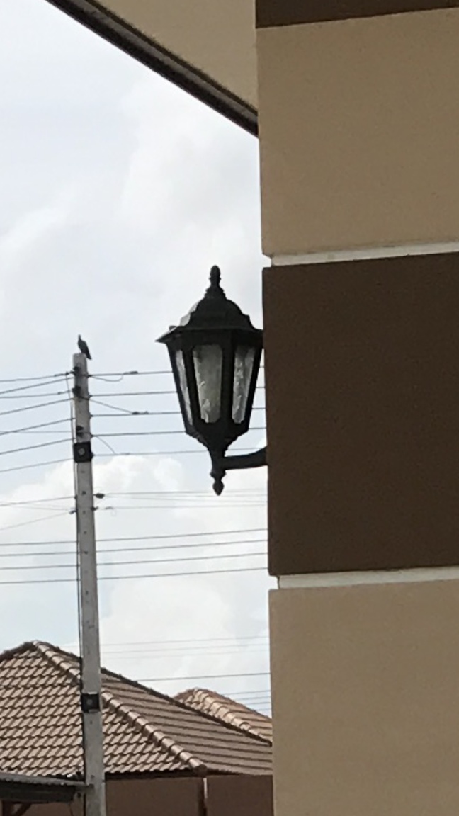 IMG_3199.PNG