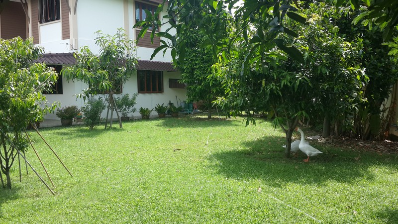 Image00001.jpg