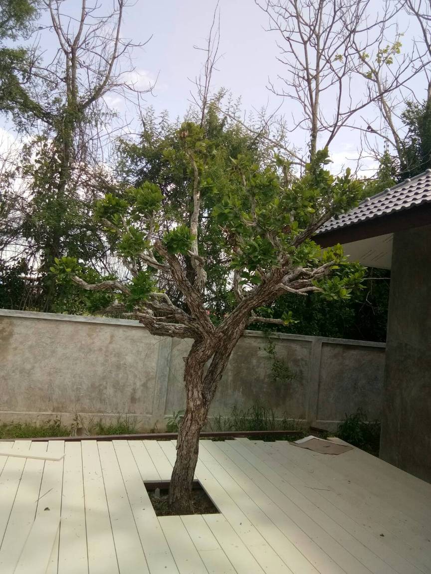 S_6321352953814.jpg