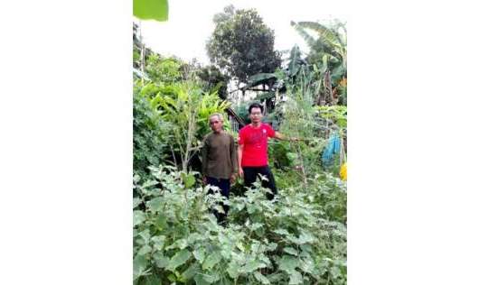 d8ef275e150681d2ce5478c09963c536-atwb.jpeg