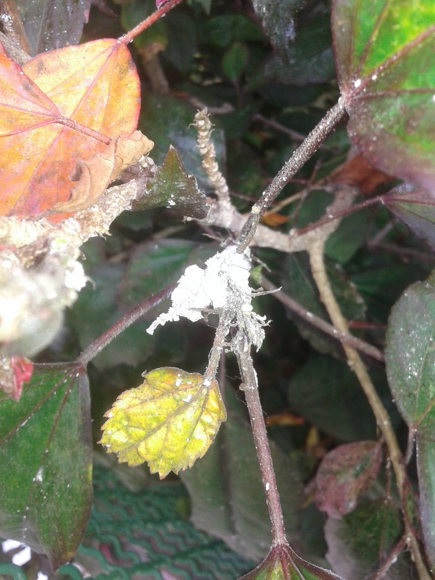 20170820_084458.jpg