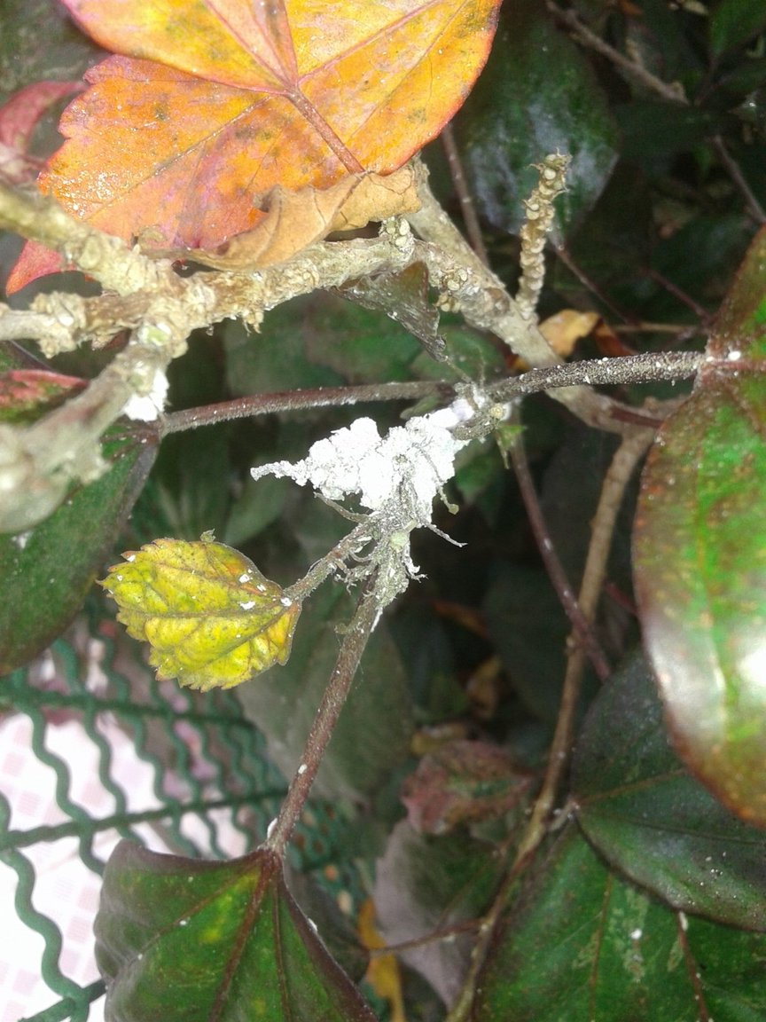 20170820_084523.jpg
