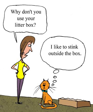 5982c3e18efe0_stinkbox.jpg.90ff24b3c959ba43aa5d6c8c2a2ce36f.jpg