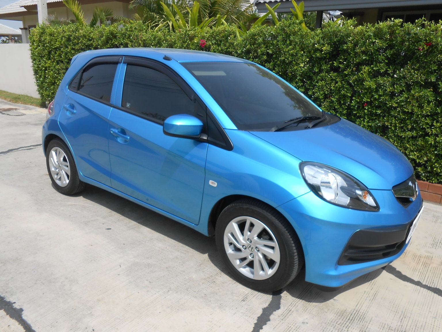 Brio Feb 2016 039.JPG
