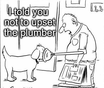 598abac0c3495_dogplumber.jpg.57b70b05dcbdc35a62e285ad04fec796.jpg