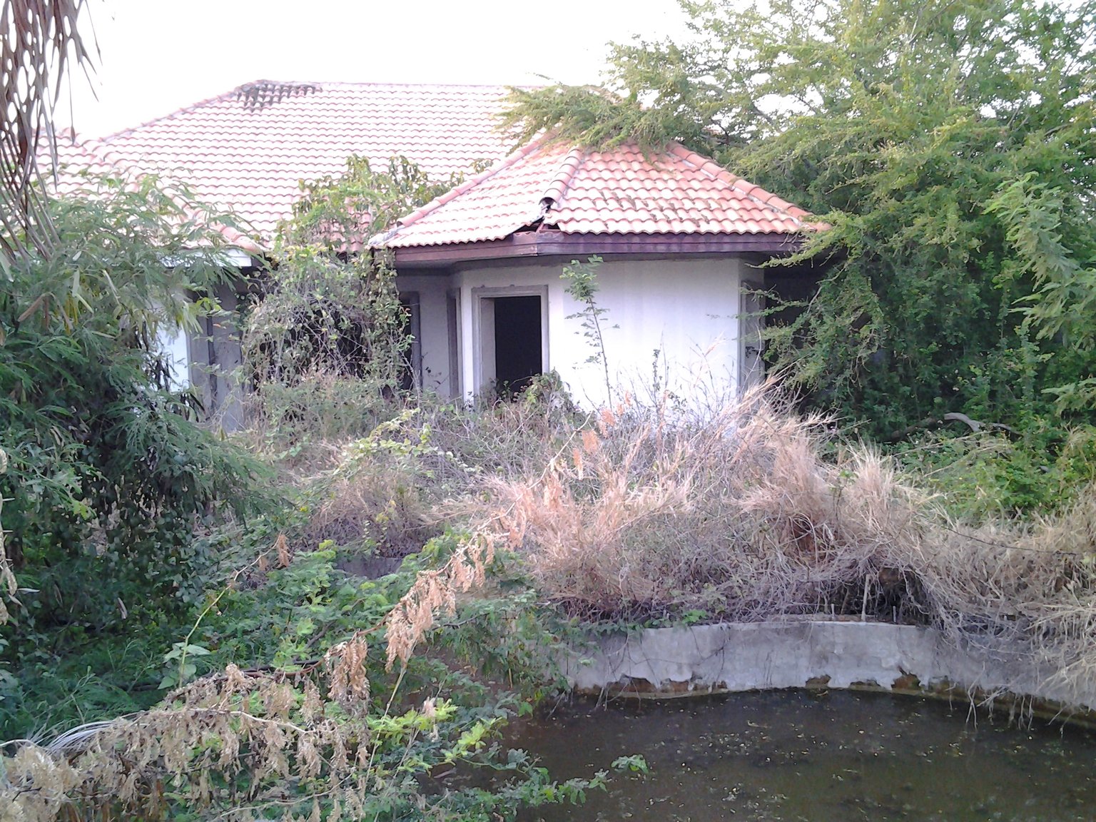 M 01.jpg