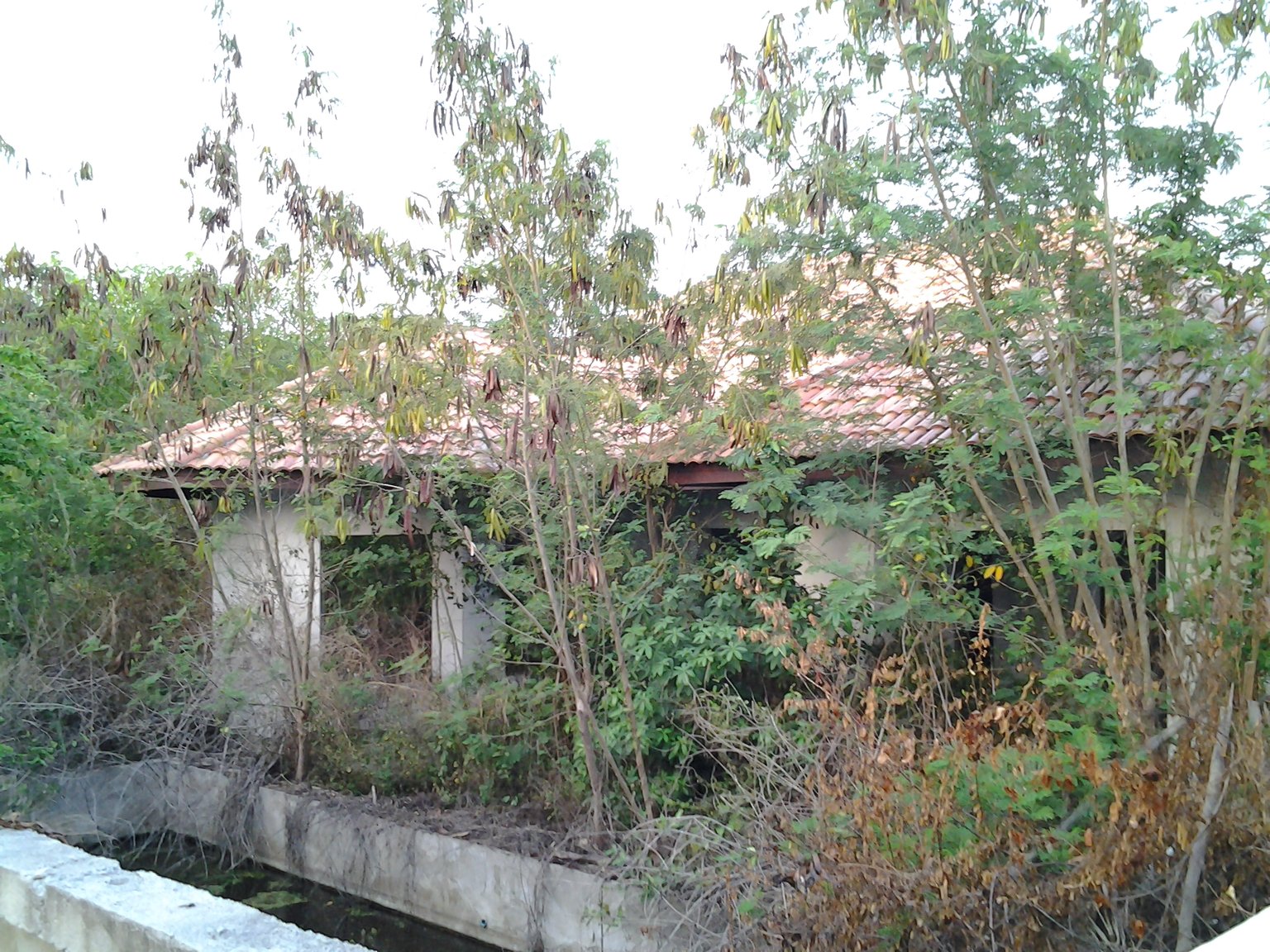 M 03.jpg