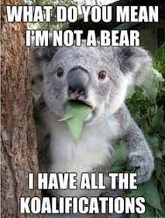 59955d712501b_koalaqualifications.jpg.52337d2cafcbf44cdc0080b79d4e38f9.jpg