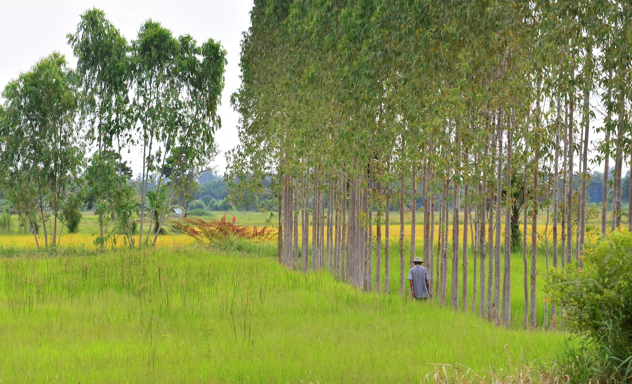 man walking_2032copy.jpg