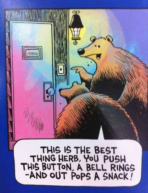 59a0fe4bc2e57_bearsnacks.jpg.0ad129f51f462fea9438b90c8eb76141.jpg