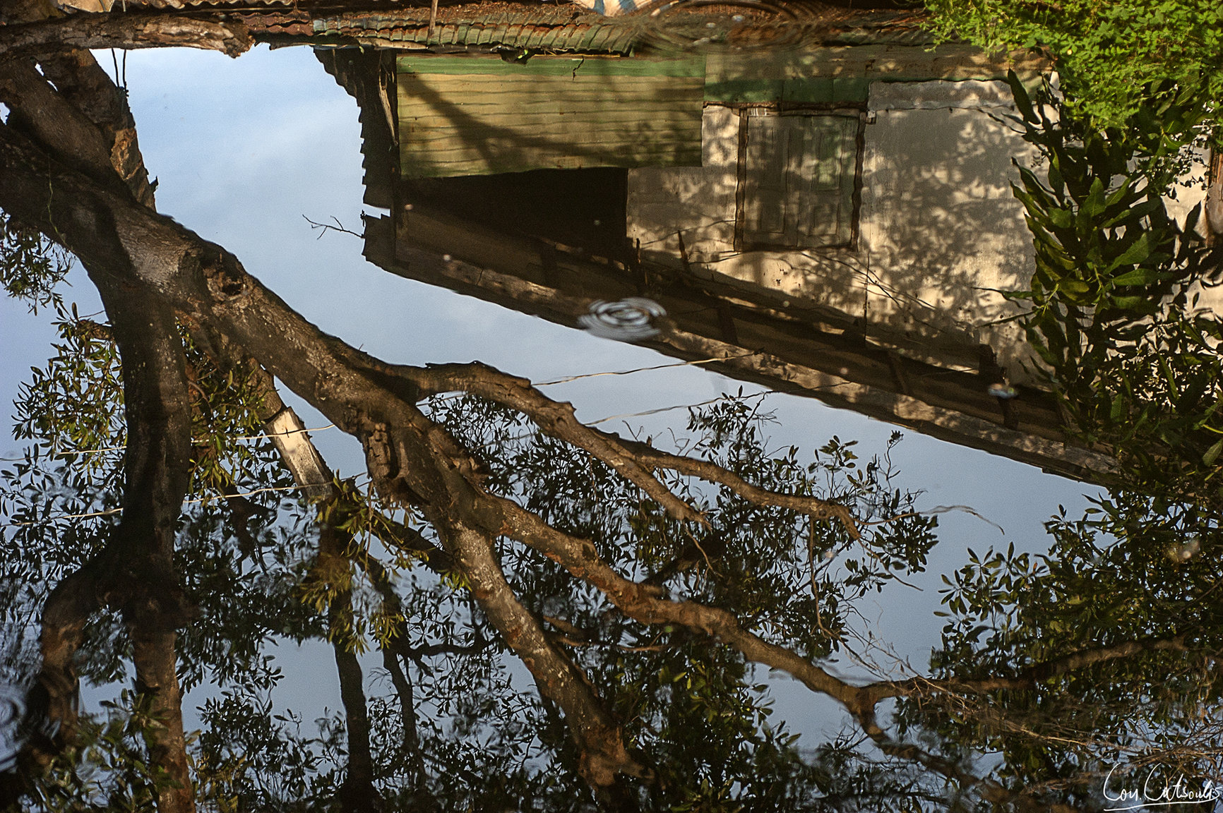 DSC_0079.thumb.jpg.4f7af4604067d540f169b683664f4291.jpg