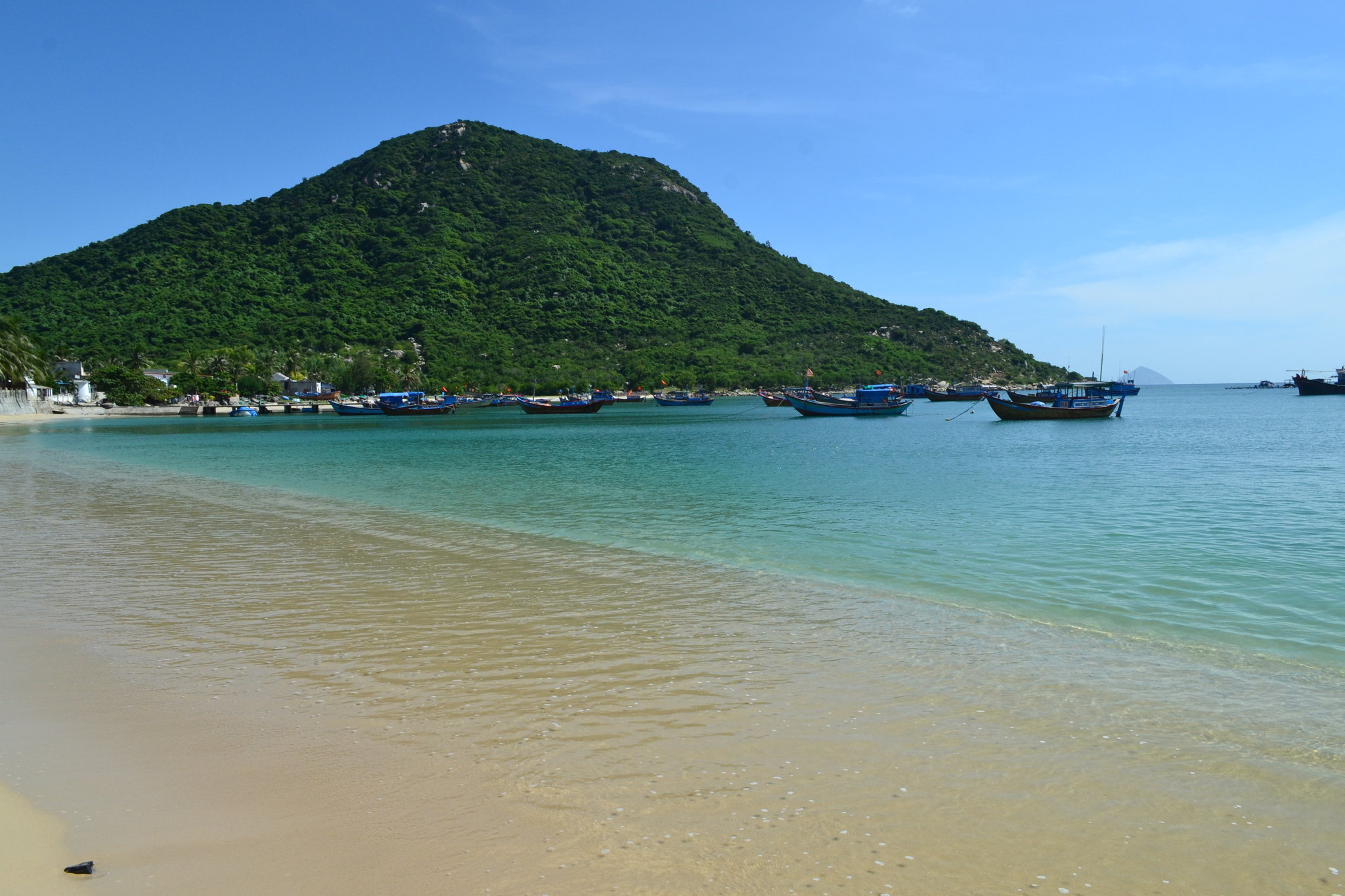 DSC_0264.JPG