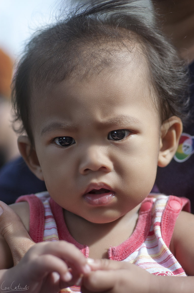 DSC_0675.thumb.jpg.0a2df058e4d47a544c4db96b7e7497c8.jpg