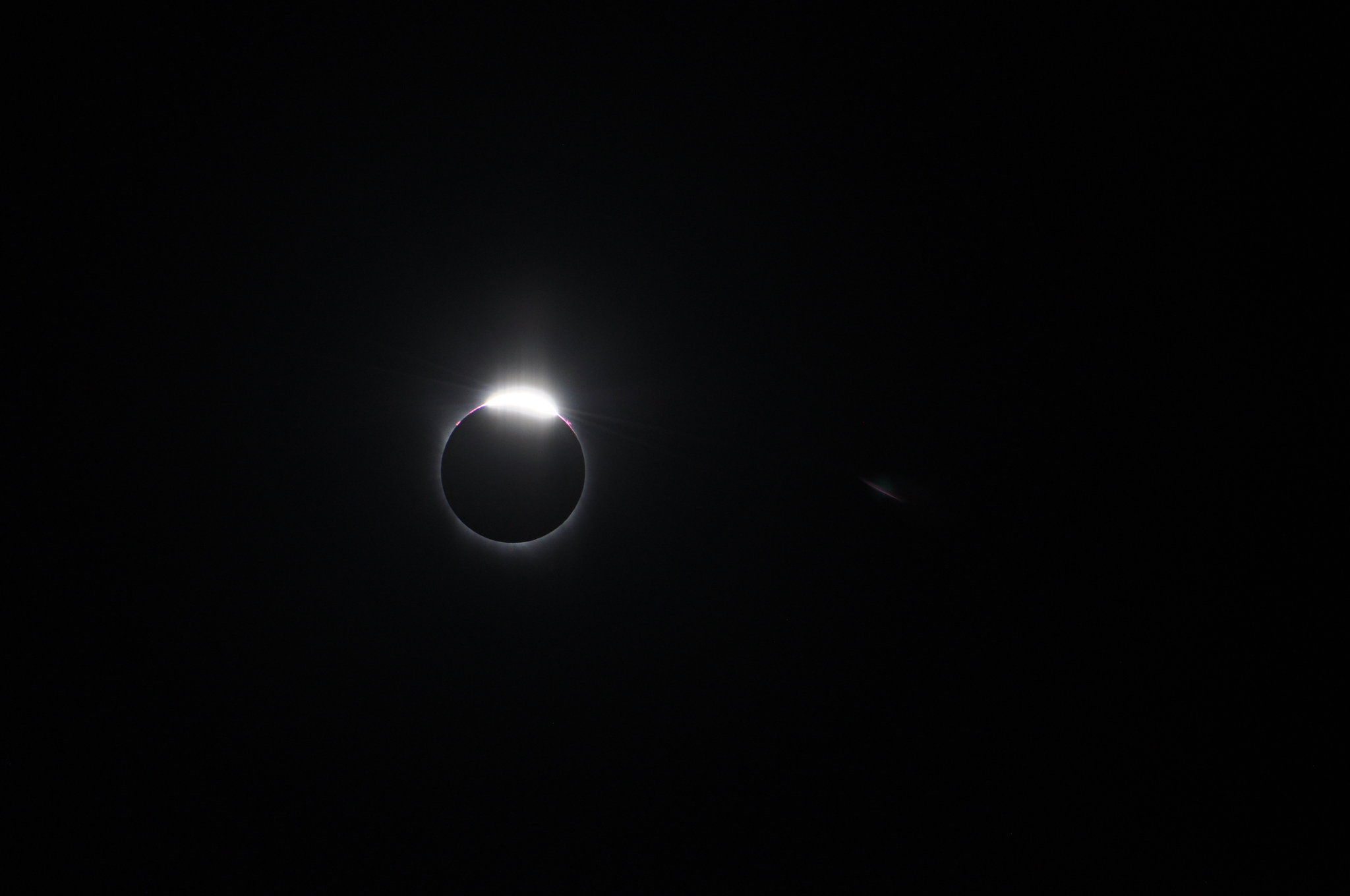 DSC_6500.JPG