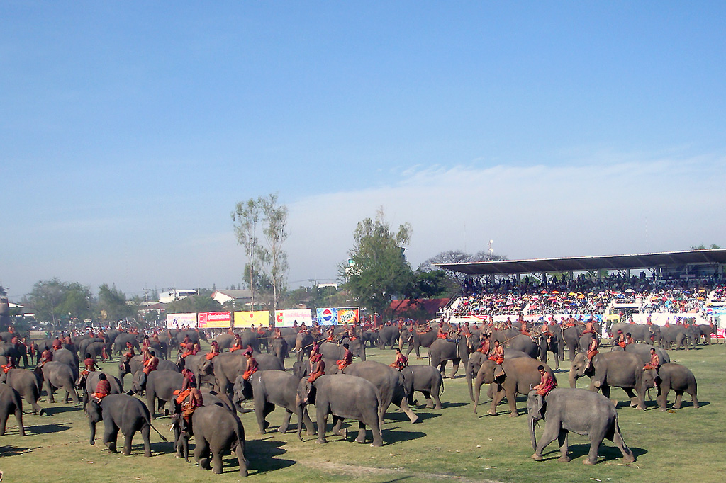 Surin_Elephant_Show_2009_DSC06213c.jpg.7bd134674d3623d294505a7f576726ea.jpg