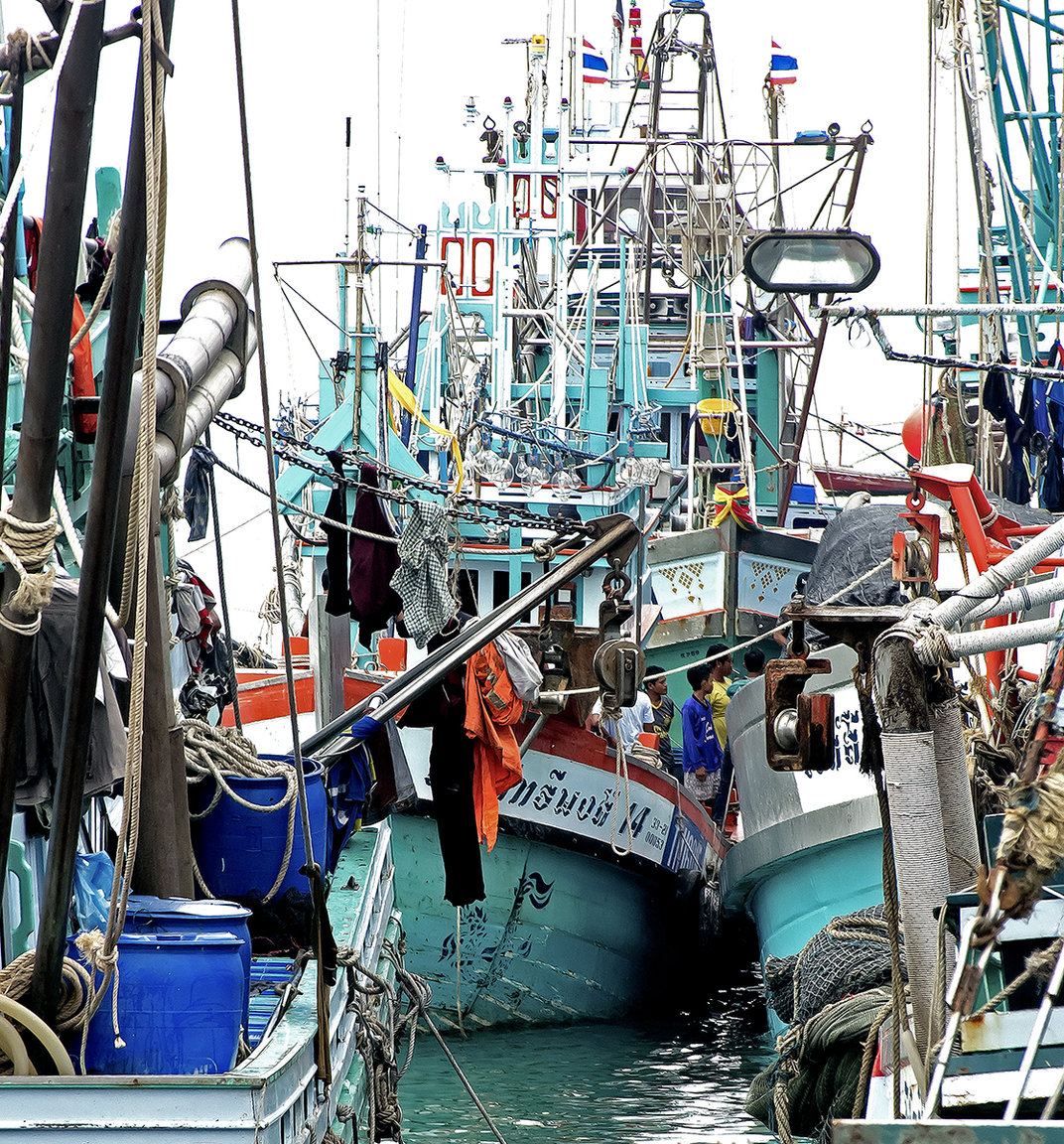 boats01.jpg