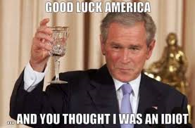 bush.png.2347581dc759f300f42ee67897e5df18.png