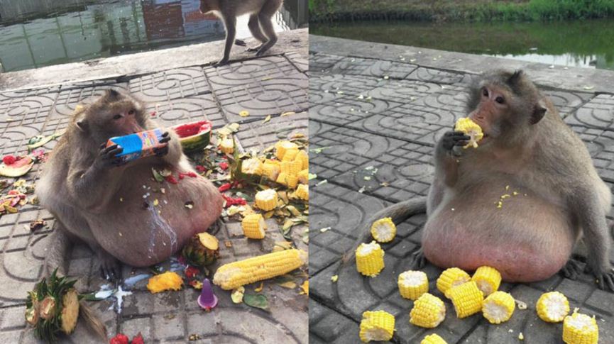 dsfghjk.JPG