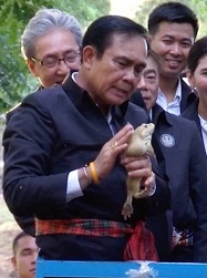 prayuthfrog.jpg.0c92444d11bb3b4e6aaf9ae4c3014bfa.jpg