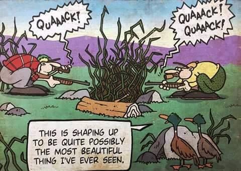 quack.jpg.35b5d9dfea20c356b4a19a9d6ef16d6f.jpg