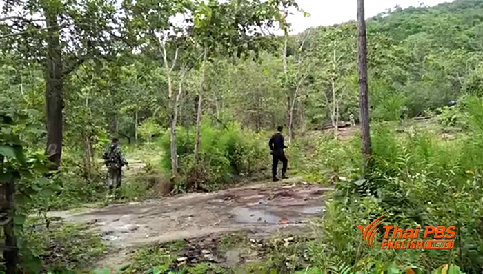 tao.jpg