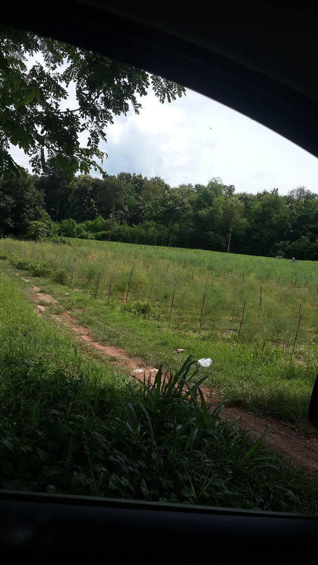 20170904_103626.jpg