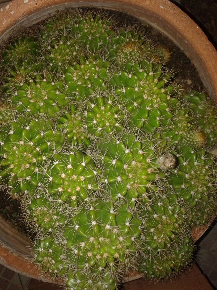 20170907_183759.jpg