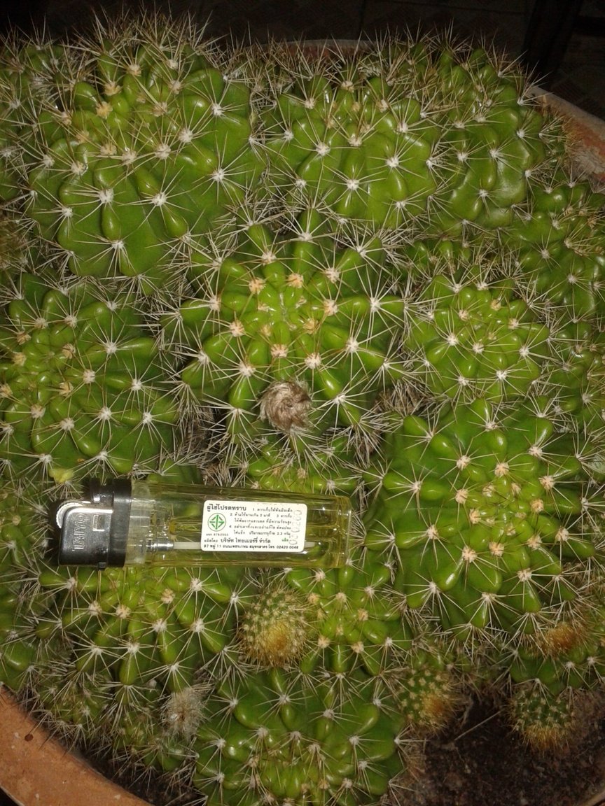 20170907_183947.jpg
