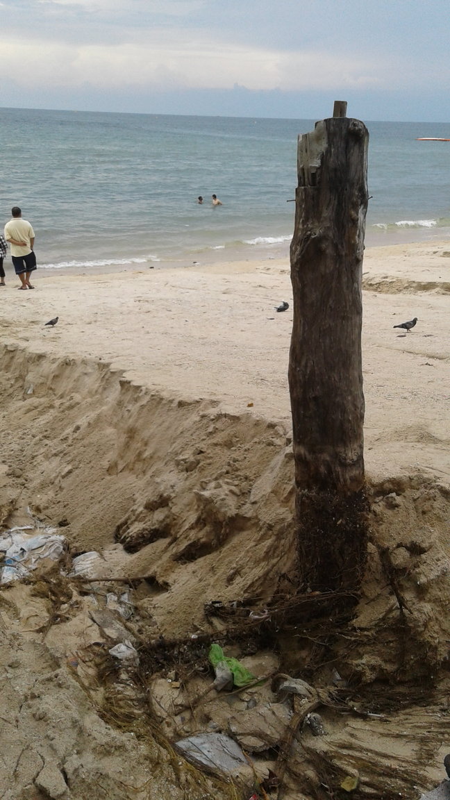 20170922_162556.jpg