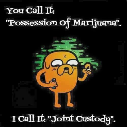 59b25a1246e95_jointcustody.jpg.e7d2cc3e2d092b4eadae84d00deee4fe.jpg