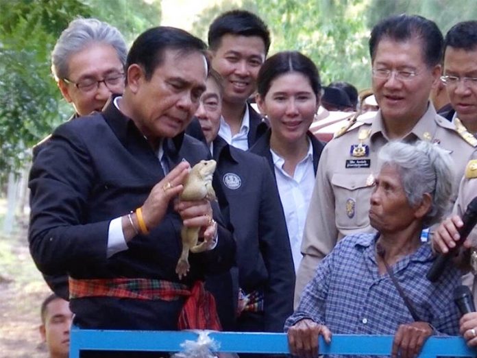 59b3916d190c1_prayuthfrog.jpg.bb0b494202aba19fd1b3a31be8caf748.jpg