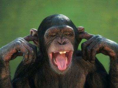 59b4e092b8938_irefusetolistentoyourcomplaints.jpg.ba4b92fa6fdc352872e61db97084c971.jpg