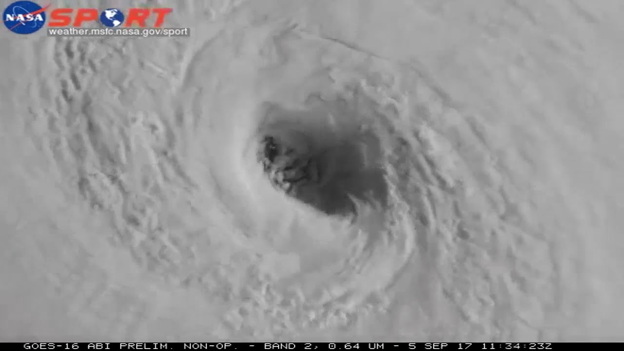 59b6f7f56ed22_eyeofirma.jpg.acf48894b9ae00d18c13d46516b57db3.jpg