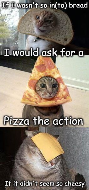 59b8d19118e62_cataction.jpg.d9fed9eaa75e37e199e2bfb080fd3603.jpg
