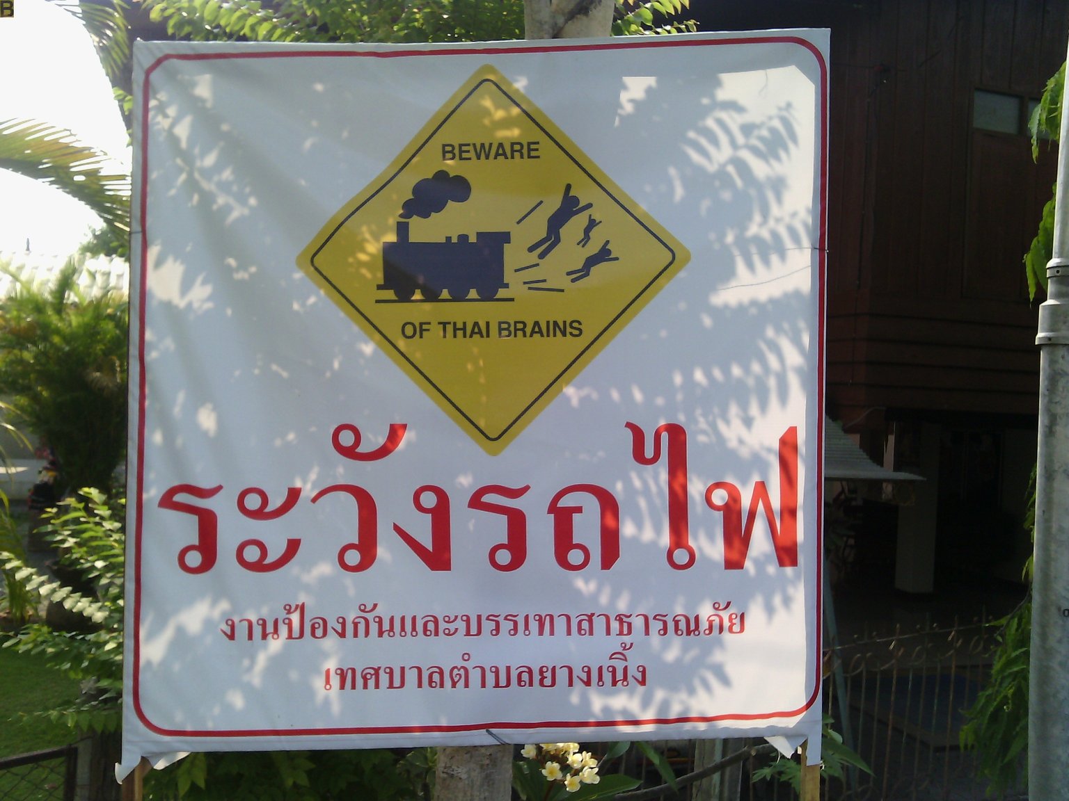 59bd31af76a31_BewareofThaiTrains.thumb.jpg.7ad8f343bf30e4855bda99c28edac427.jpg