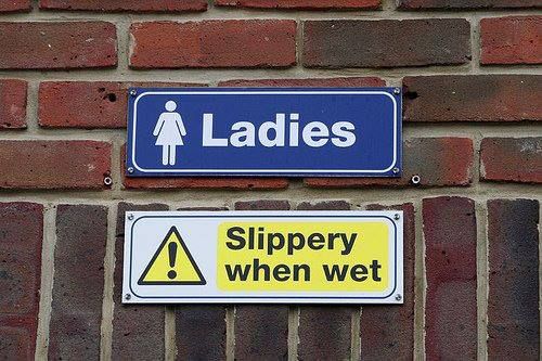 59c8bfe230832_slipperyladies.jpg.e073eed965947410c5e5465b39cd6166.jpg
