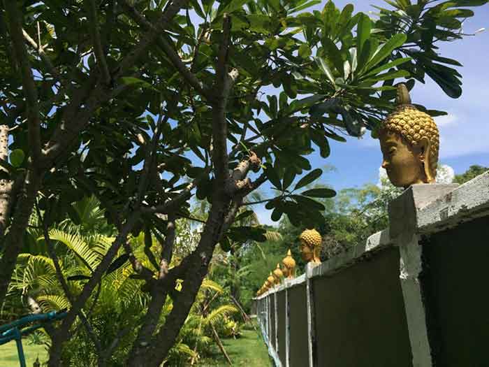 59ca7a8e3c269_Buddhahead.jpg.548ac5b1a5d2100f2565a1a044206da8.jpg