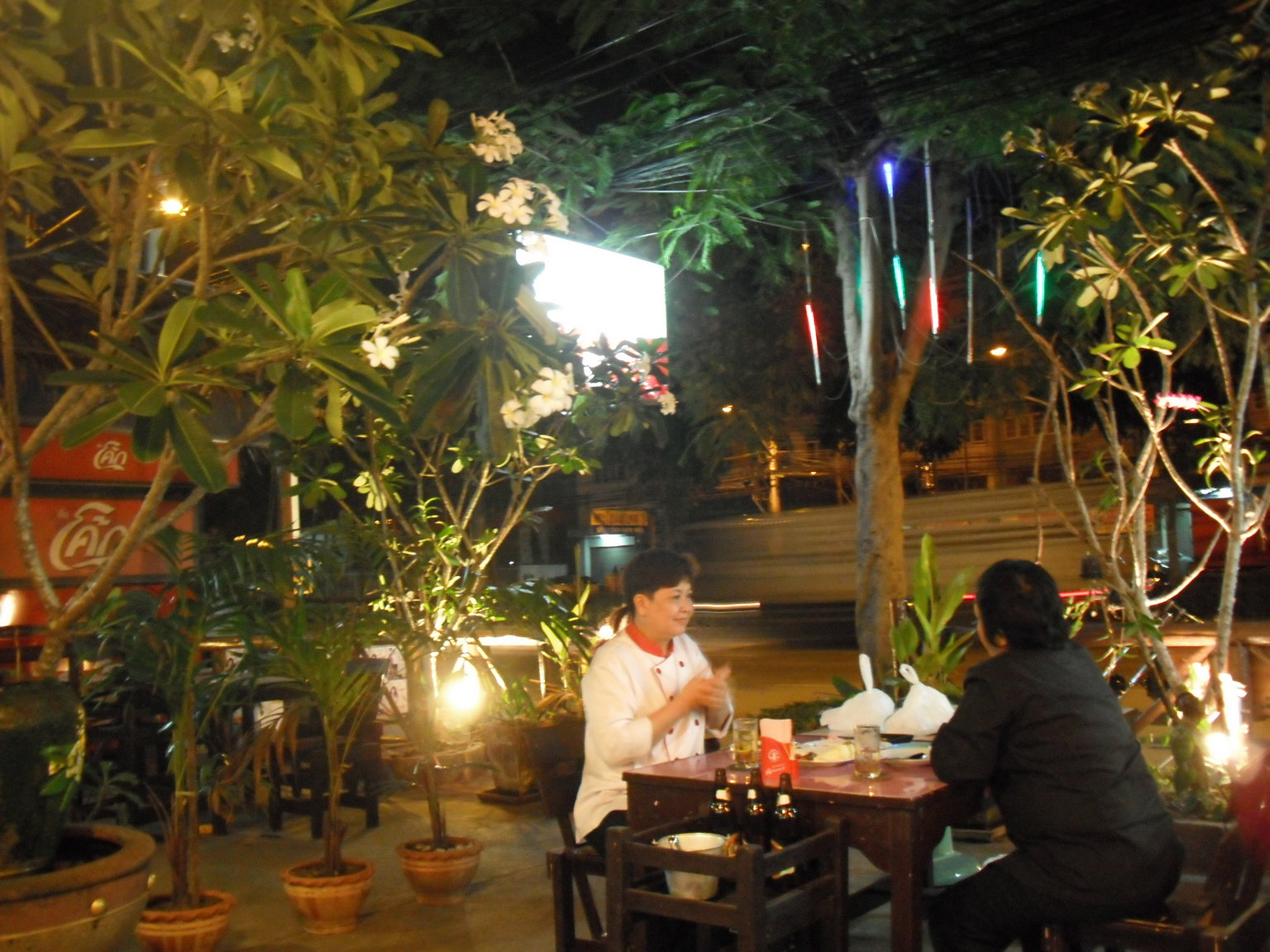 DSCF0395.JPG