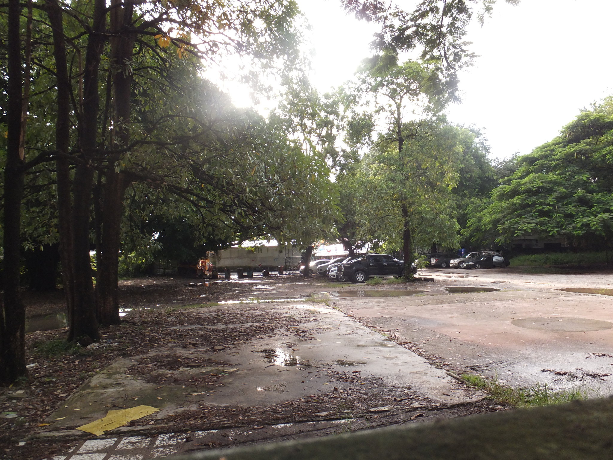 DSCF0913.JPG