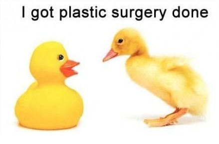 Funny-plastic-duck.jpg.0a2b1c0ee8775ac73549aadfdc87c7ed.jpg