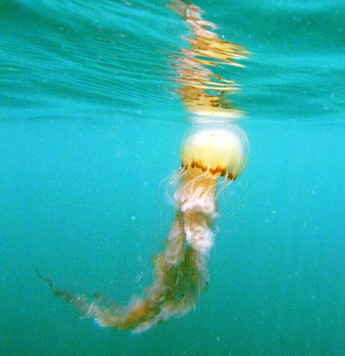 G0113990.JPG
