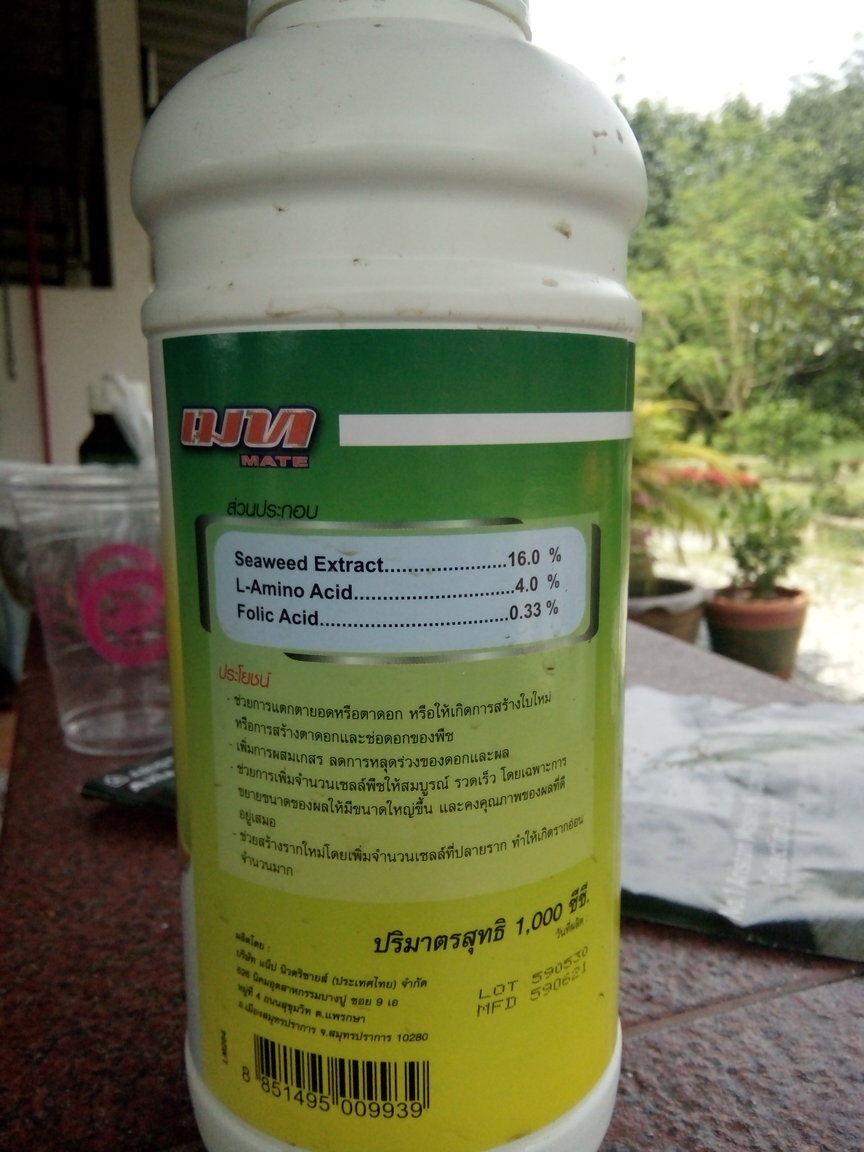 IMG20170911135555.jpg