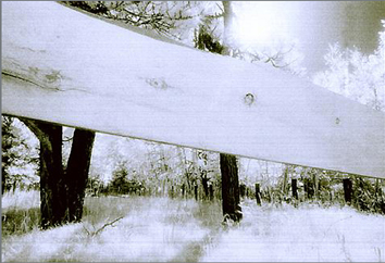 IMG_0212.JPG.2008e99dabbaeb107bcc3df6f1709aa1.JPG