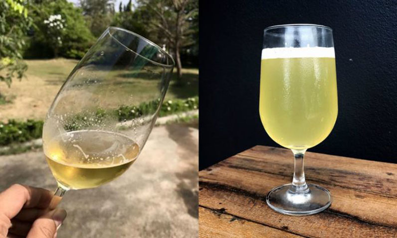 MEAD-696x418.jpg