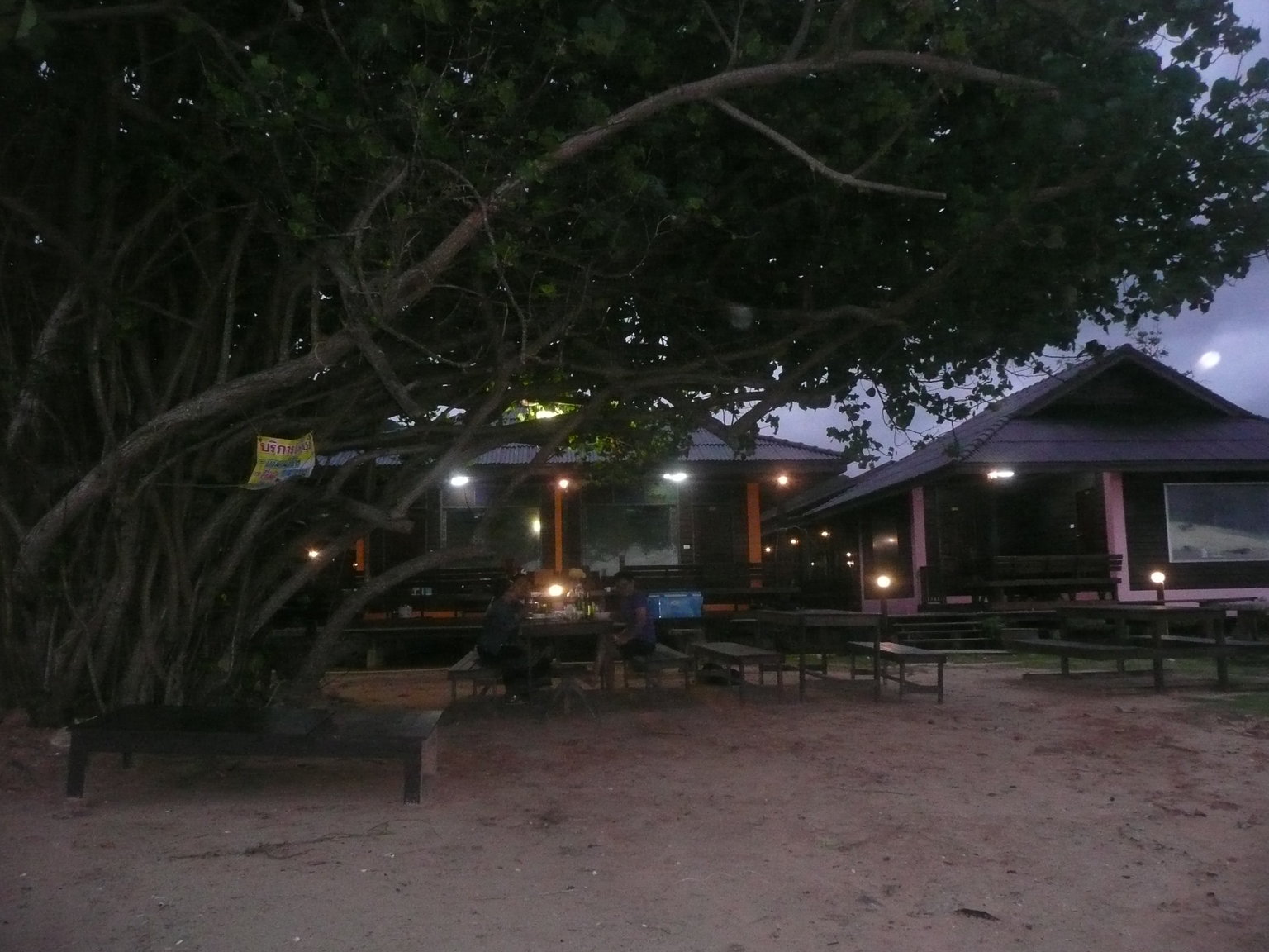 P1270006.JPG