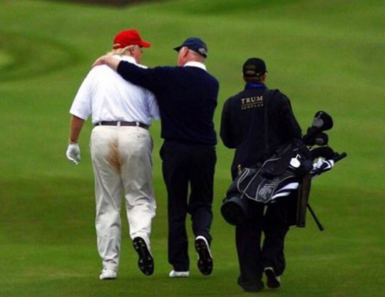 TrumpDiarhea.jpg.f41ac4be2ae43c9bccd8c45ea00bf4c8.jpg